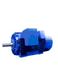 http://www.safewaymarketing.sg/wp-content/uploads/2012/11/Vilma-Motors-Medium-Voltage-wpcf_185x220.png Product image